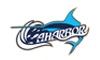 1mini logo