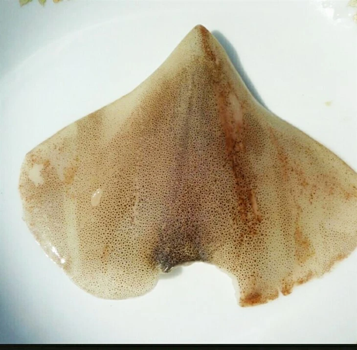 Frozen Squid Wing