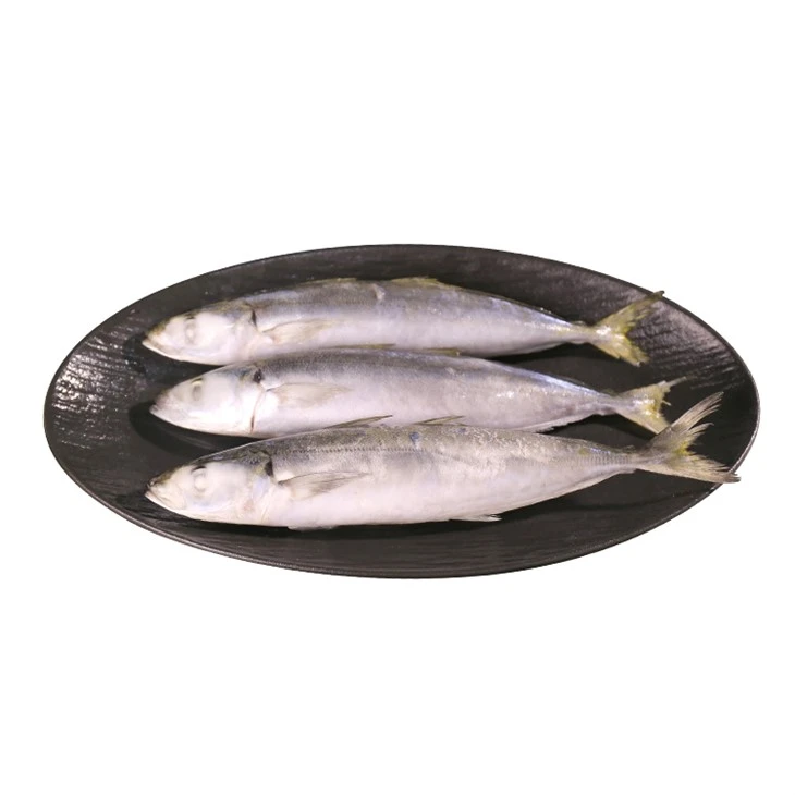Cá nục Layang tùy chỉnh