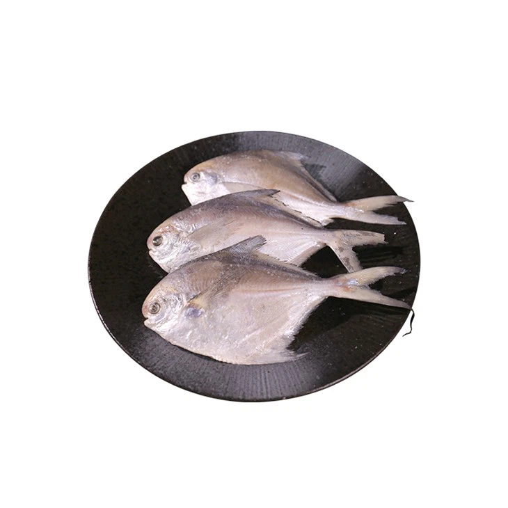 Pomfret trắng đông lạnh