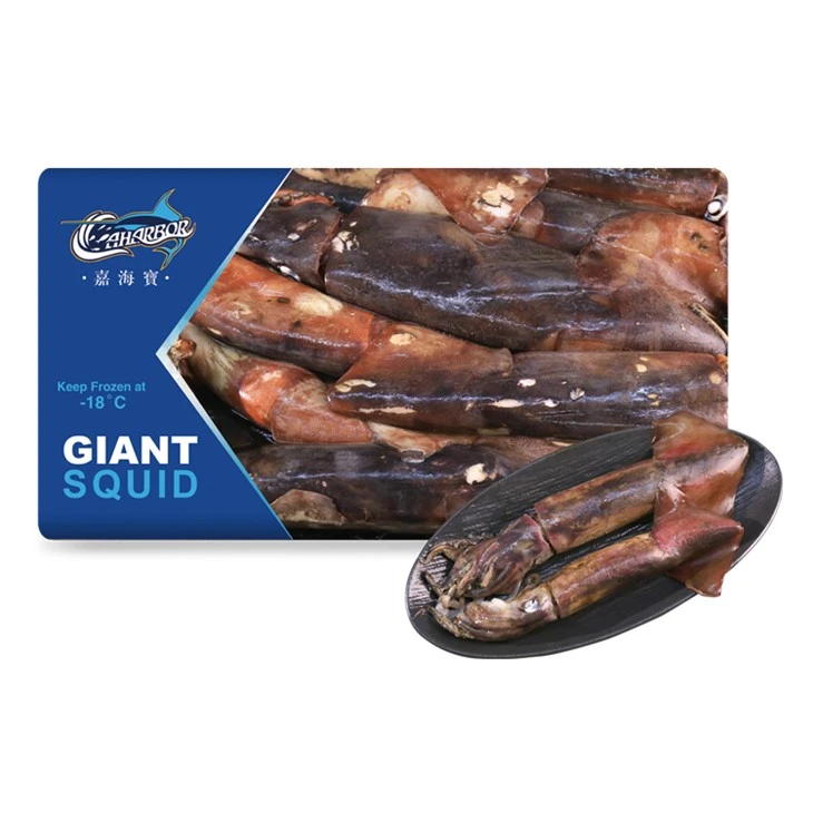Gigas Squid
