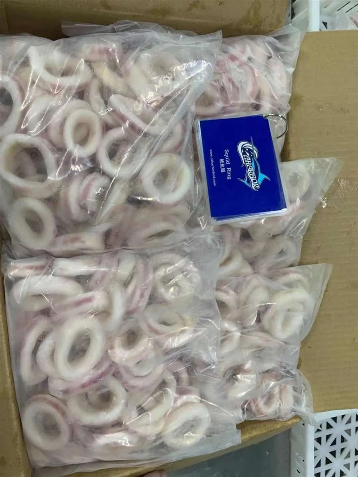 Frozen Squid Ring skin on