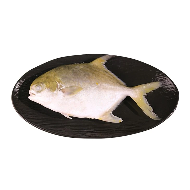 Pompano vàng